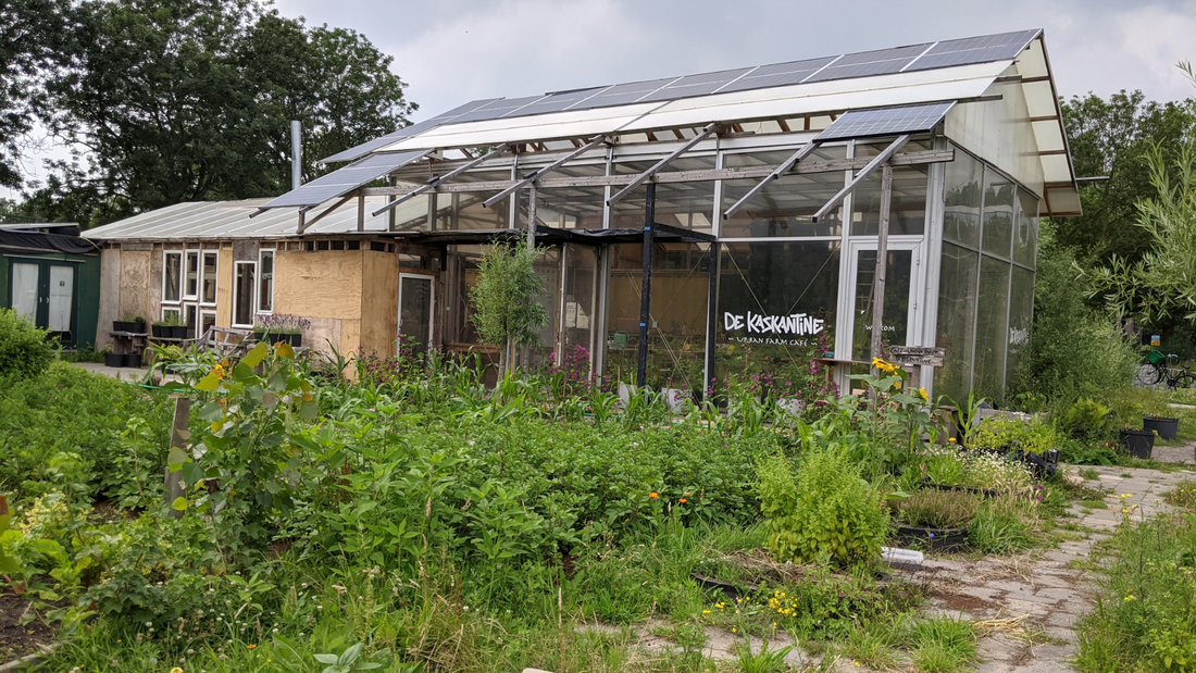 De Kaskantine Food Rescue Market